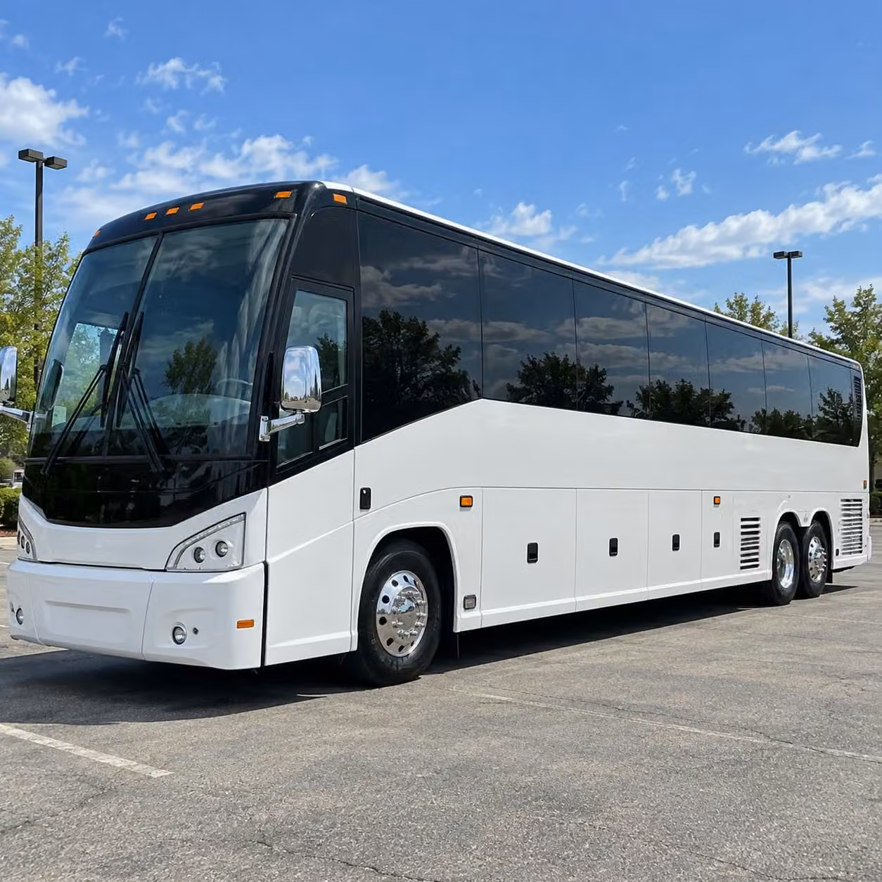 winery tours pub crawls and bachelor party bus rentals in rapid city